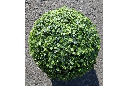 Топиарий "Шар" 30 см, самшит короткий